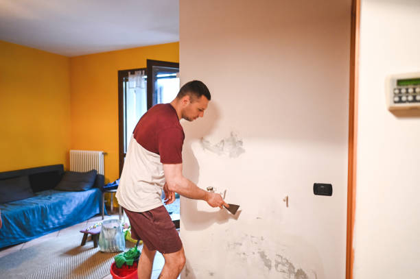 Best Mold Testing  in Elk Grove Vlage, IL
